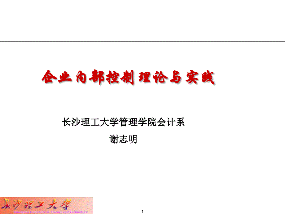 企业内部控制理论与实践_第1页