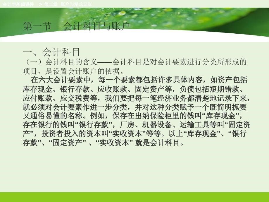 第三章会计科目与账户_第5页