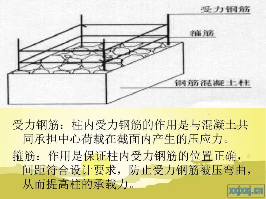 钢筋工程量计算基础知识(灰常实用).ppt_第5页