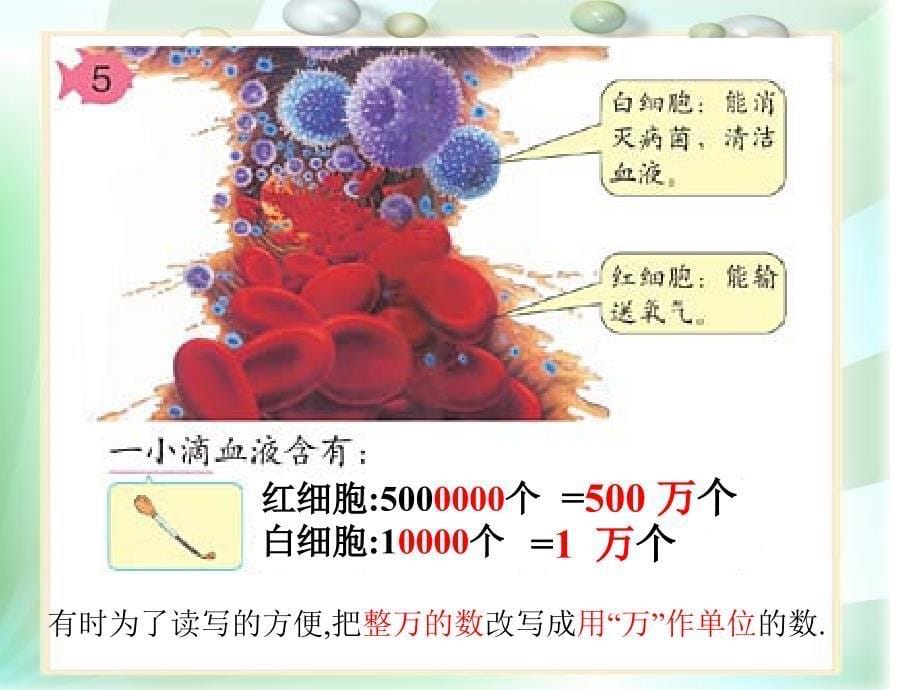 大数的比较大小_第5页