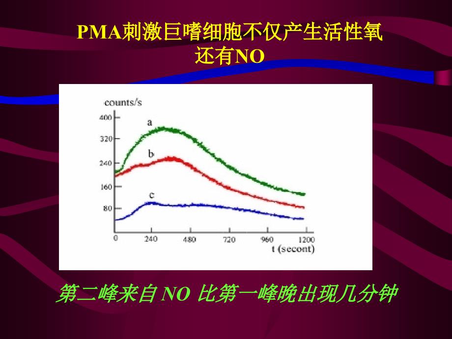 Bpcl应用举例课件_第4页