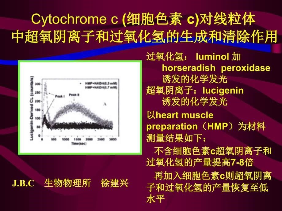 Bpcl应用举例课件_第5页