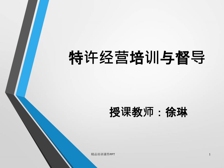 特许经营培训与督导概述_第1页