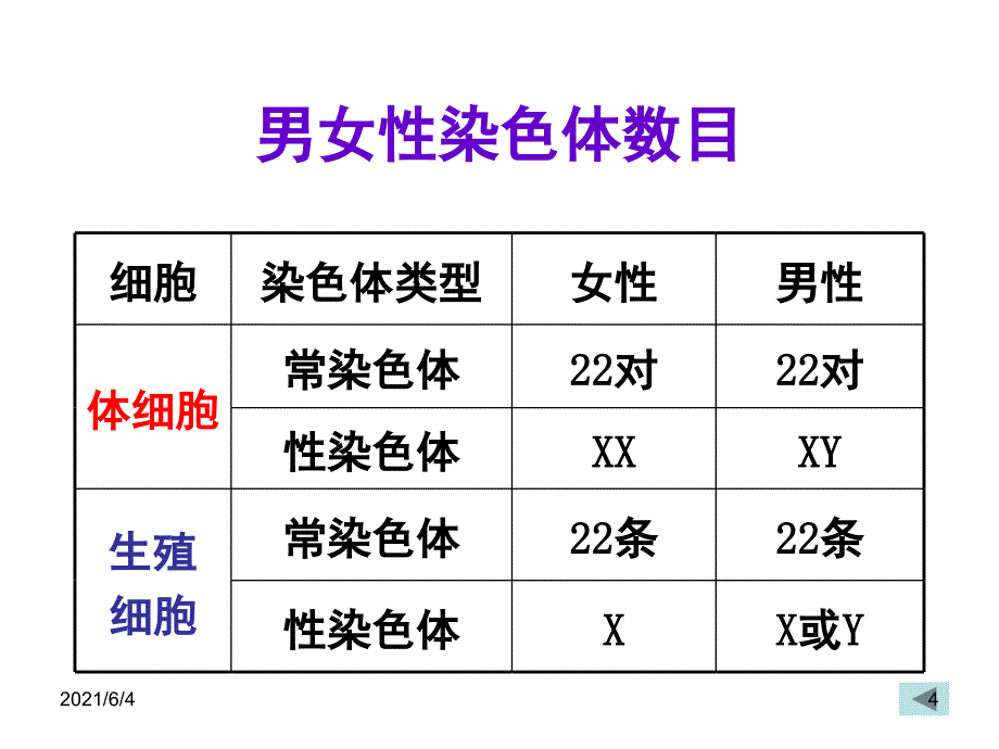 八年级下册第二章-生物的遗传和变异复习_第4页