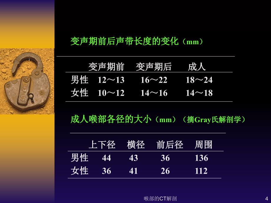 喉部的CT解剖课件_第4页