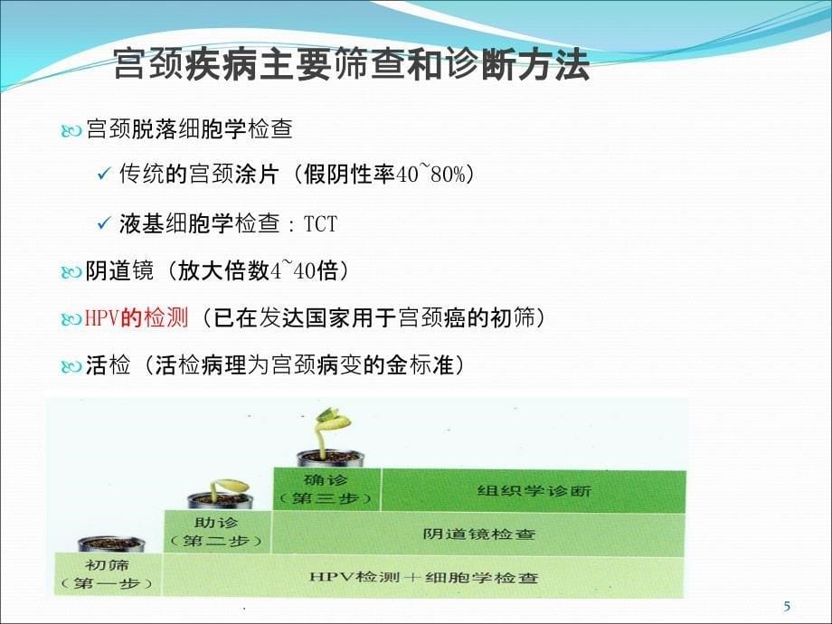 宫颈癌与TCT、HPV检测ppt课件_第5页