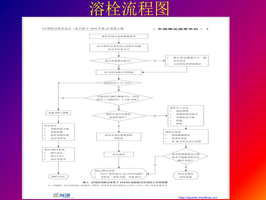 溶栓治疗的标准操作规程_第3页