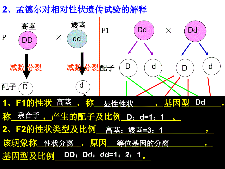 生物学业水平考试复习7共7篇课件_第4页