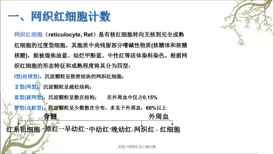 实验六网织红血小板计数_第3页