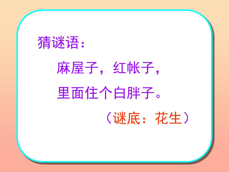 一年级语文上册 小松鼠找花生课件2 鲁教版_第2页