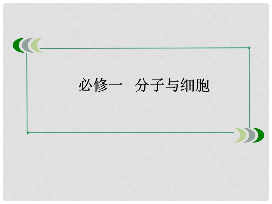 高考生物一轮总复习（考点探究+基础回扣+考点突破+解题技巧警示）133 能量之源 光和光合作用课件 新人教版必修1_第2页