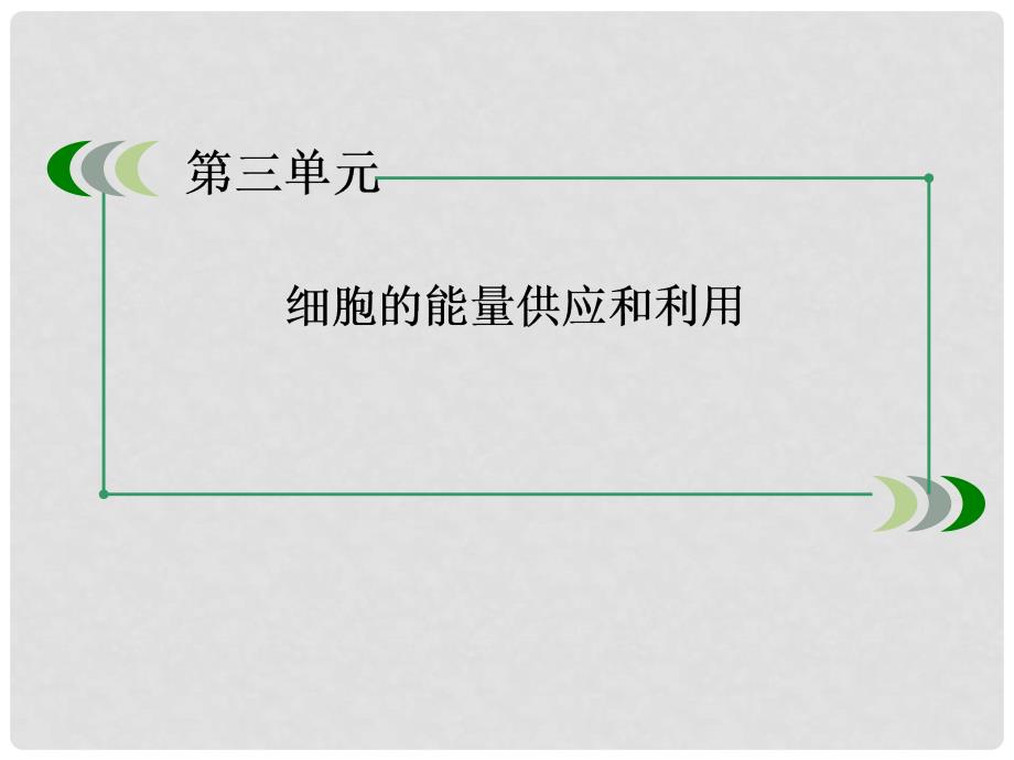 高考生物一轮总复习（考点探究+基础回扣+考点突破+解题技巧警示）133 能量之源 光和光合作用课件 新人教版必修1_第3页