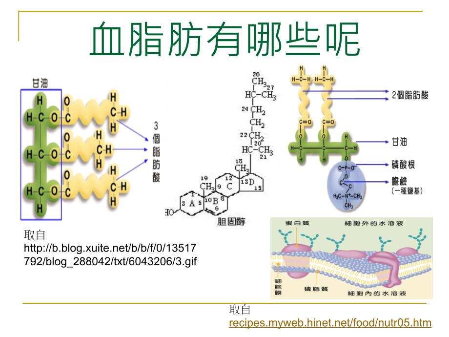 高血脂的防治_第3页