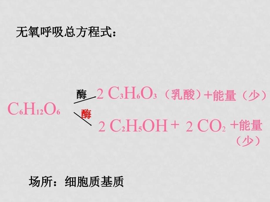 高中生物ATP的主要来源——细胞呼吸必修一11.8_第5页