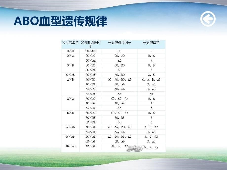 疫性溶血性贫血PPT课件_第5页