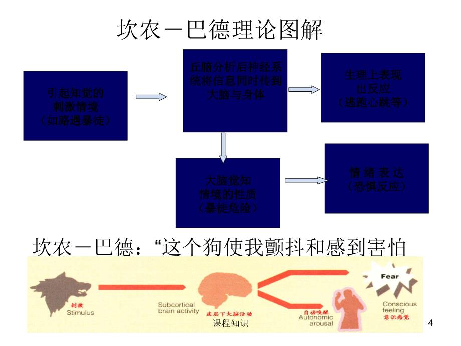 情绪理论【特制材料】_第4页