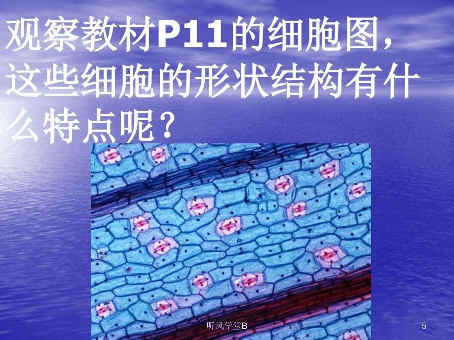 搭建生命体的积木.ppt长松学堂_第5页