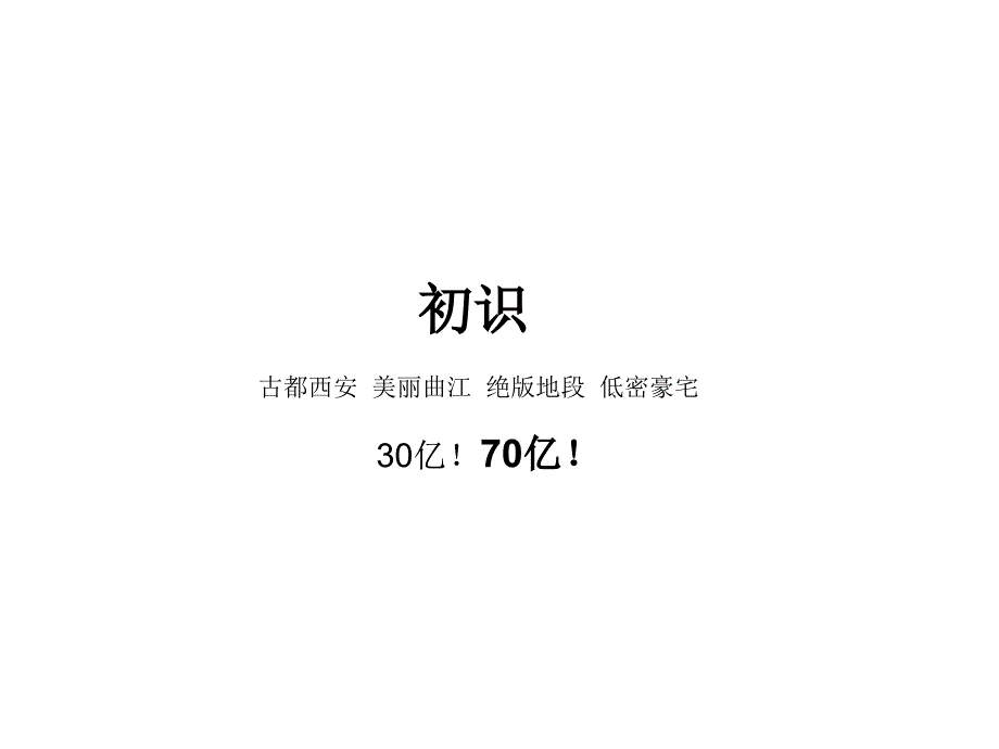 西安金地湖城大境项目沟通_第4页