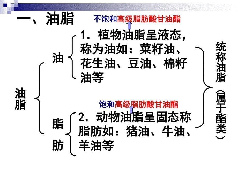 p生命中基础有机物复习课课件_第5页