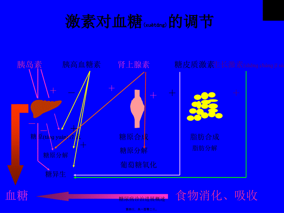 糖尿病诊治进展概述课件_第4页