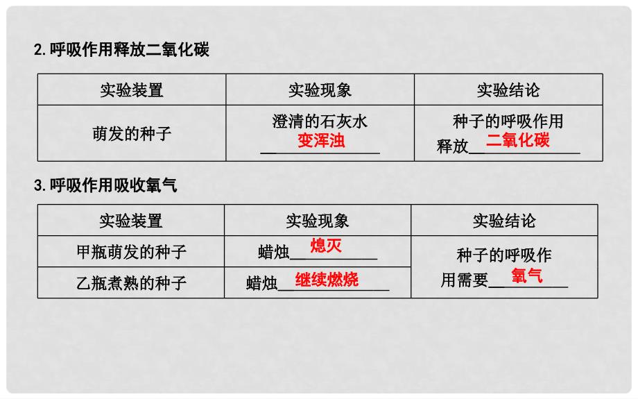 七年级生物上册 3.5.2绿色植物的呼吸作用复习课件 （新版）新人教版_第2页