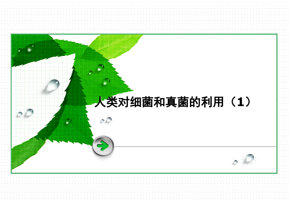 人类对细菌和真菌的利用(课件)_第1页