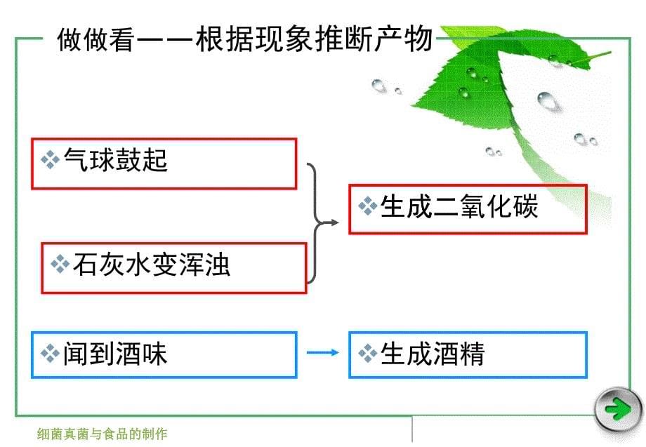 人类对细菌和真菌的利用(课件)_第5页