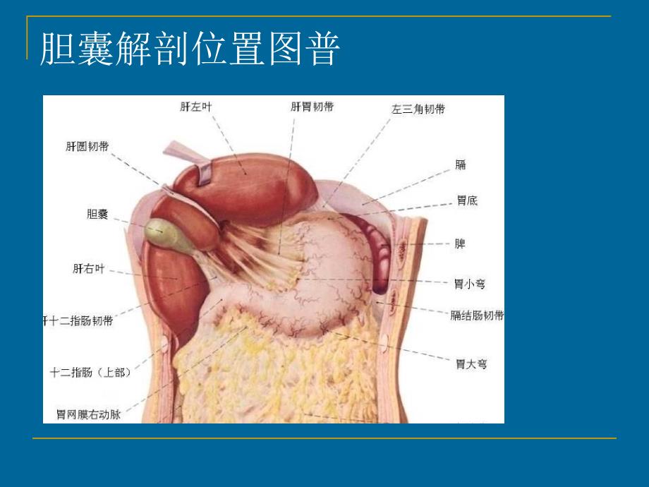 胆总管探查手术配合_第2页