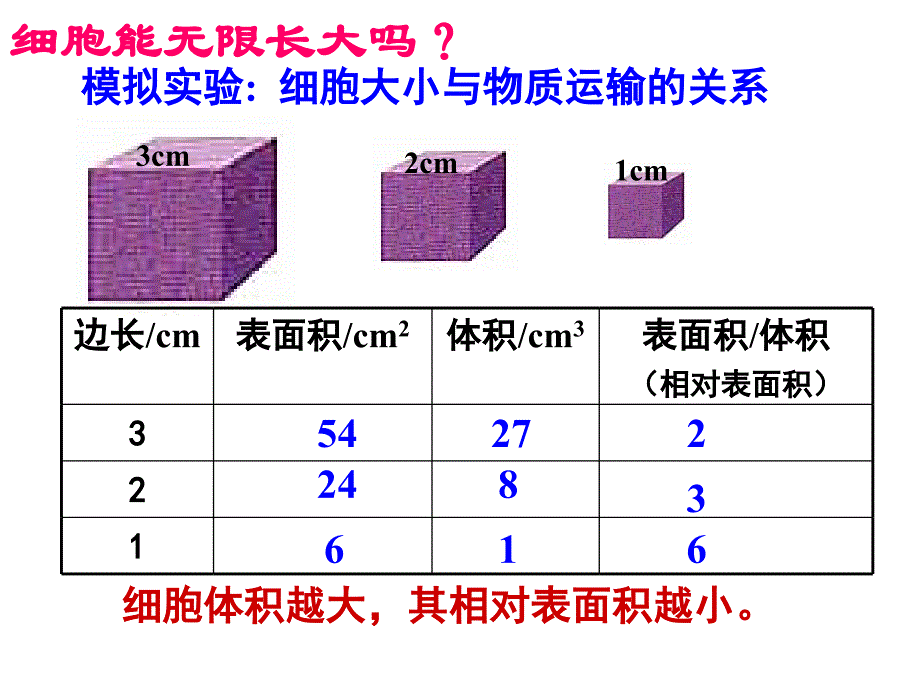 高中生物必修1细胞的增殖_第3页