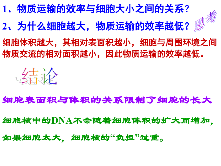 高中生物必修1细胞的增殖_第4页