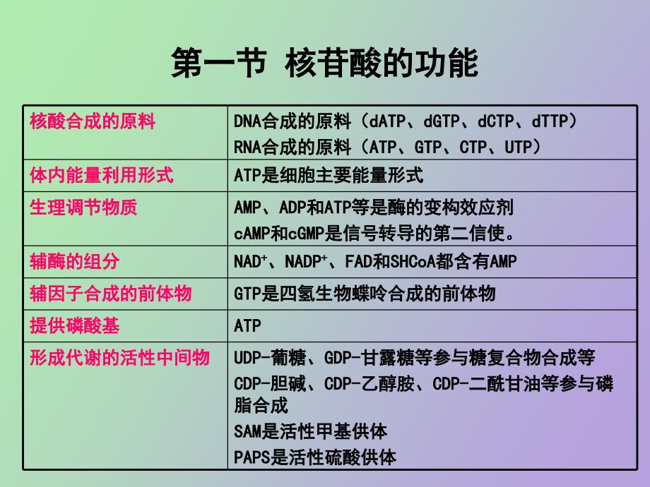 生物化学核苷酸代谢_第2页