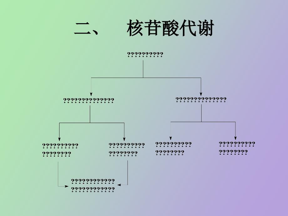 生物化学核苷酸代谢_第4页