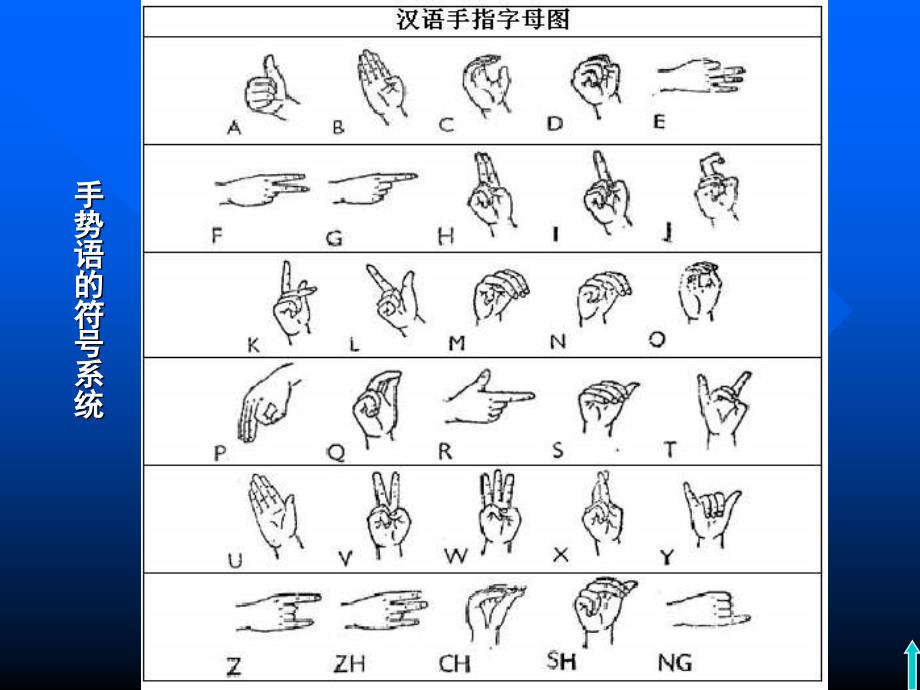 小学生的言语发展.ppt_第3页