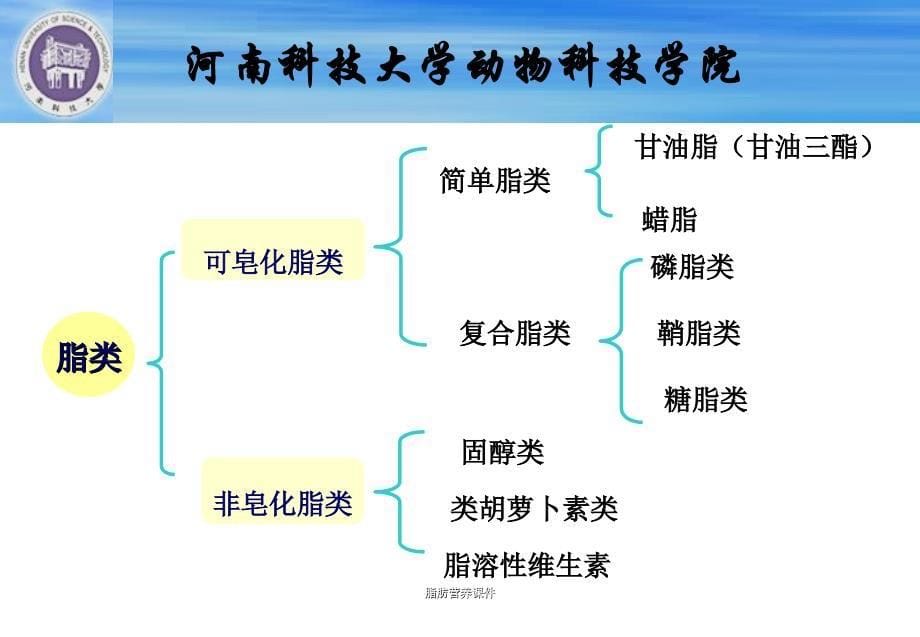 脂肪营养课件_第5页