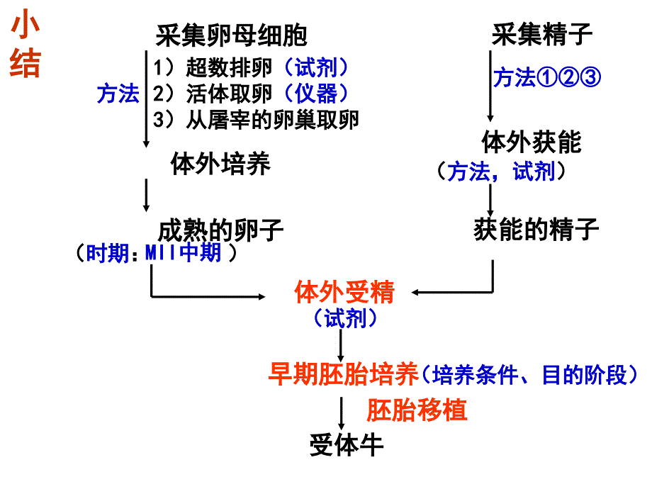 《胚胎工程的应用及前景》课件_第2页