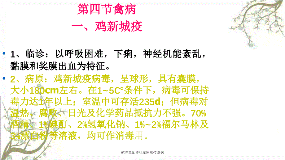 乾坤集团资料库家禽传染病_第1页