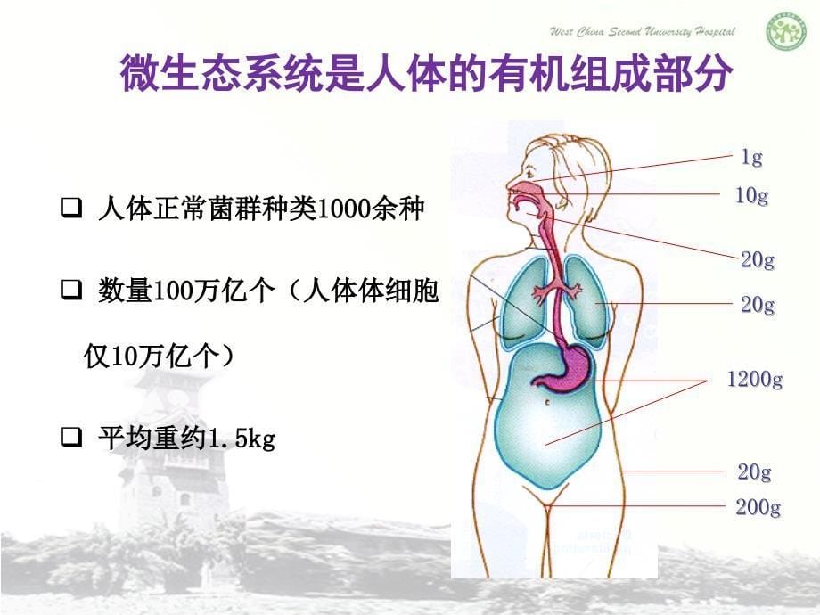 阴道微生态与感染外力课件_第5页