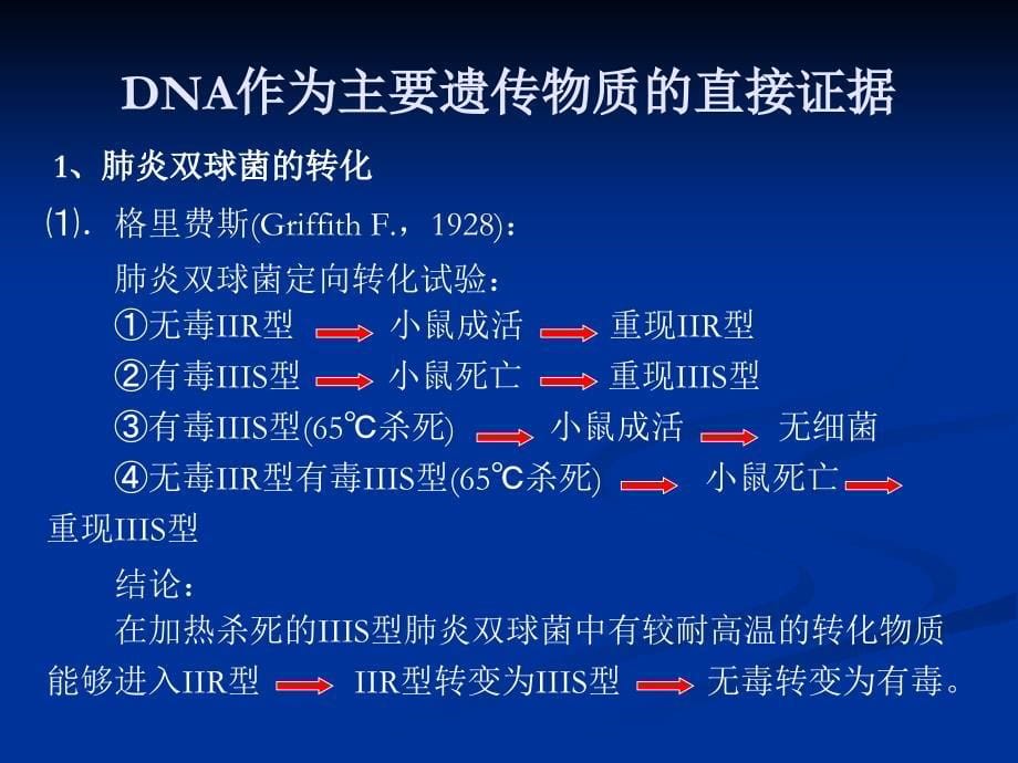 高中生物核心概念高考复习课件DNA作为主要遗传物质_第5页