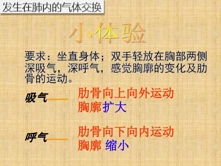 初中七年级生物下册432发生在肺内的气体交换名师优质课件1新版新人教版_第4页