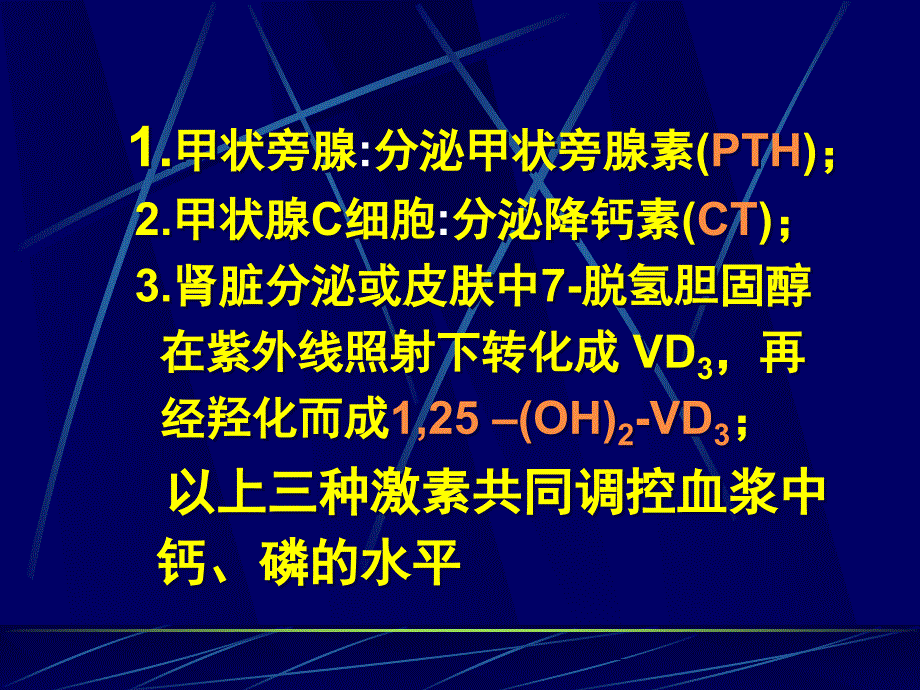 甲状旁腺与调节钙磷代谢的激素精选幻灯片_第2页