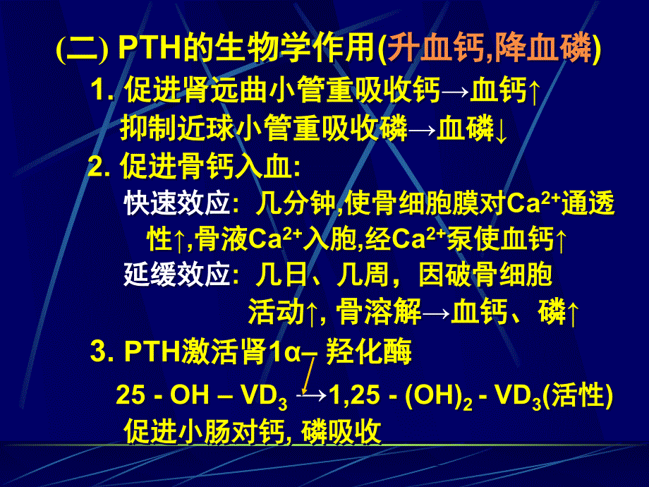 甲状旁腺与调节钙磷代谢的激素精选幻灯片_第4页