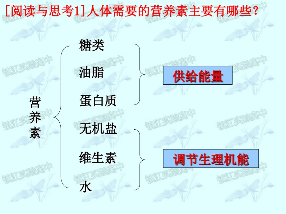 专题2第二单元提供能量与营养的食物_第2页