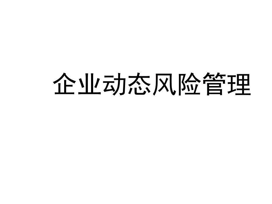 企业动态风险管理实务_第1页