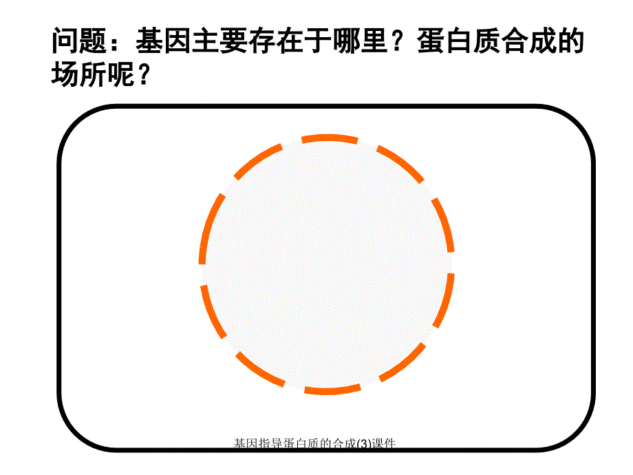 基因指导蛋白质的合成(3)课件_第4页