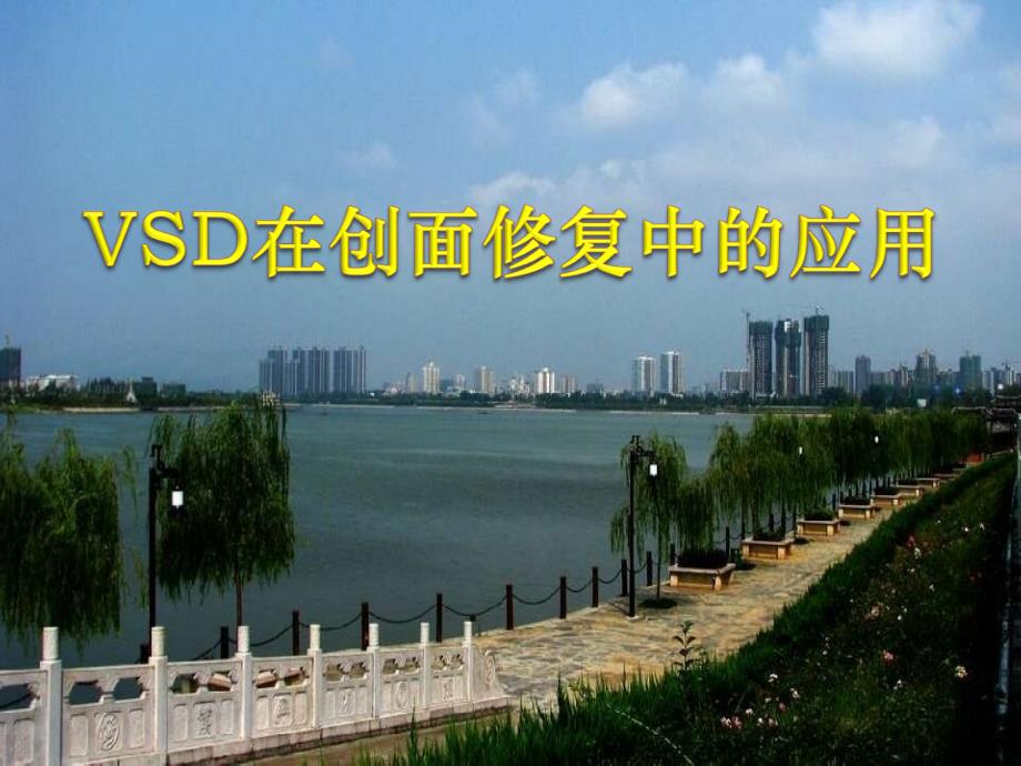 vsd在创面修复中的应用ppt课件_第1页