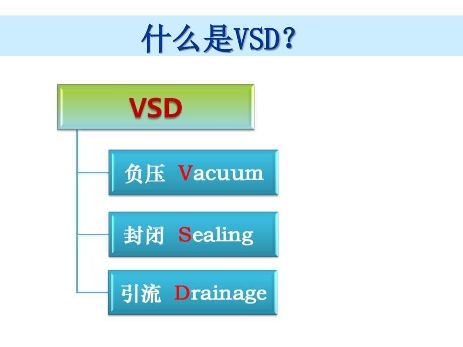 vsd在创面修复中的应用ppt课件_第5页