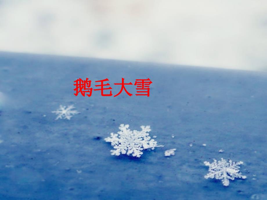 人教版小学二年级语文上册课件----12看雪_第2页