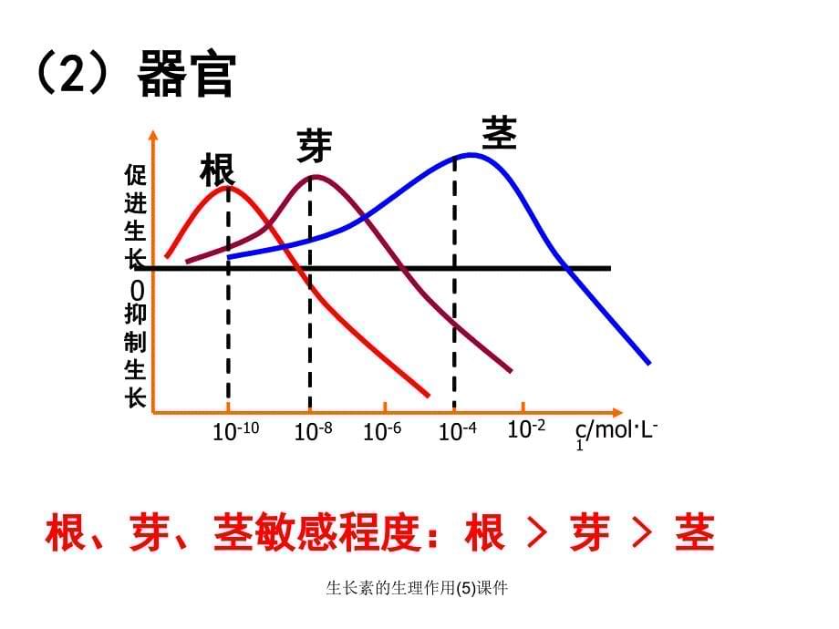 生长素的生理作用(5)课件_第5页