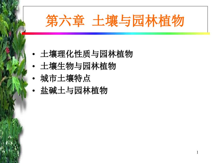 第6章土壤与园林植物_第1页