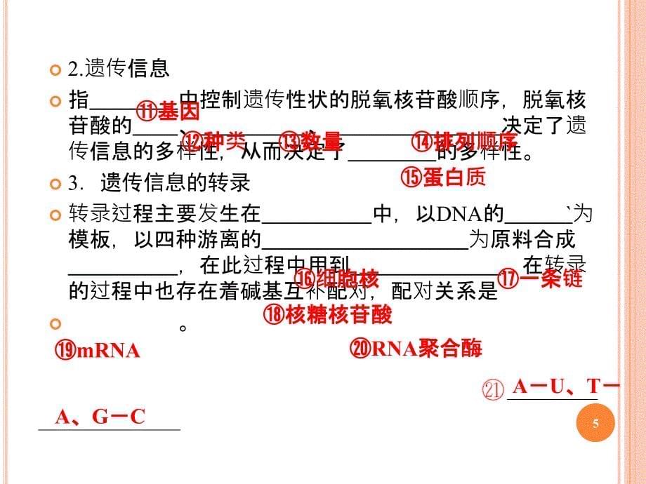 高三生物一轮复习精品必修二4遗传信息的转录和翻译ppt课件_第5页